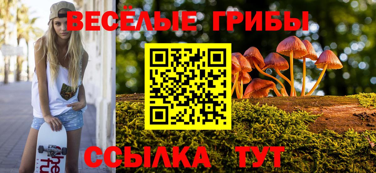 Псилоцибиновые грибы ЛСД  Галлюциногенные грибы ЛСД  Волгодонск  Вход с VPN 