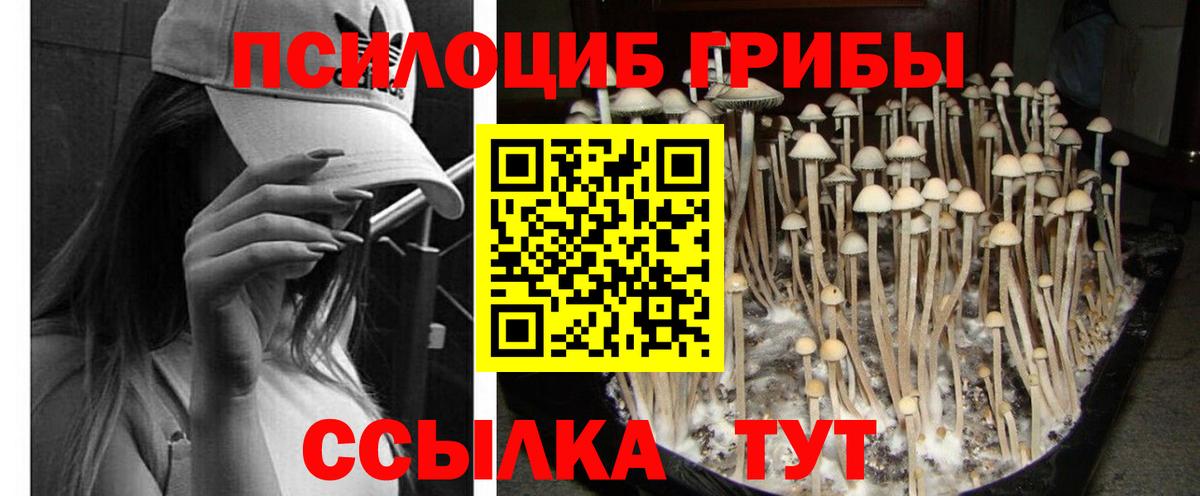 Псилоцибиновые грибы Magic Shrooms Волгодонск